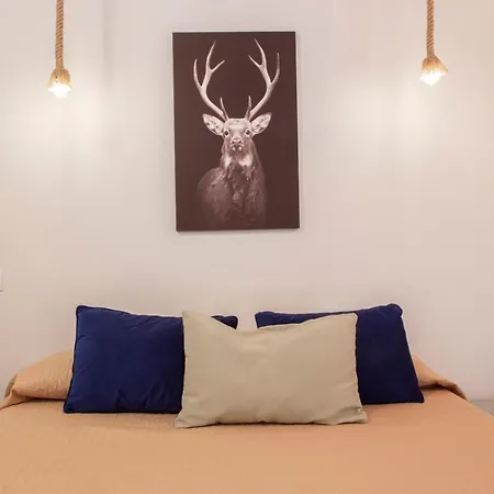 Casa Turchese 公寓 都灵